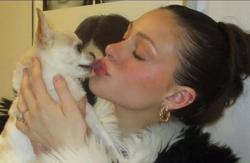 Nicola Peltz Beckham to Take Legal Action Over Dog’s Sudden Death