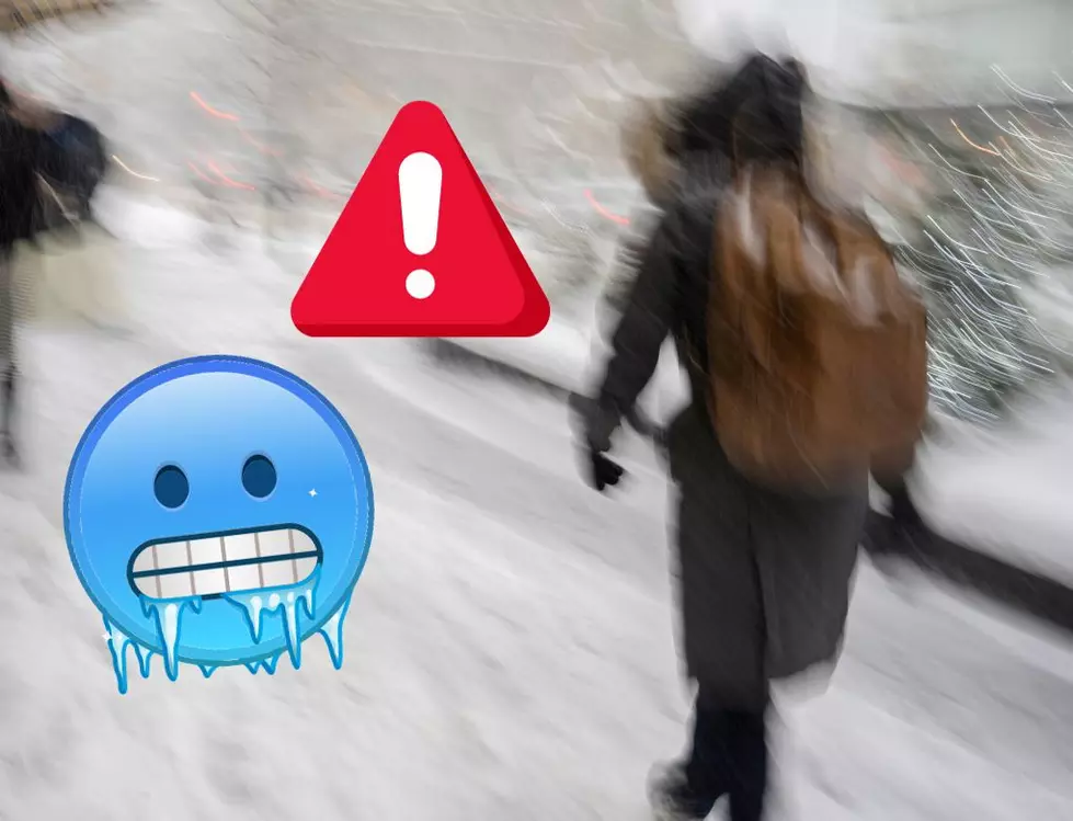 But Wait There’s More, Iowa! Another Winter Snowstorm Strikes